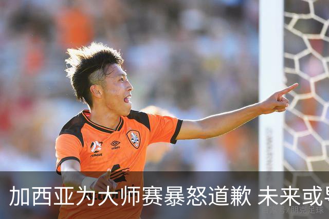 加西亚为大师赛暴怒道歉 未来或导致资格取消