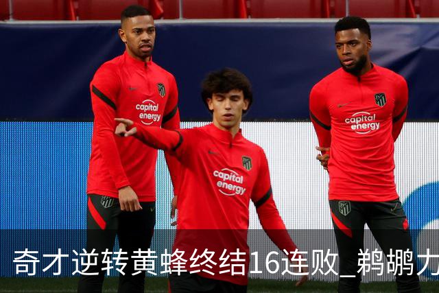 奇才逆转黄蜂终结16连败 鹈鹕力克76人3连胜