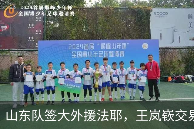 山东队签大外援法耶，王岚嵚交易困难，林庭谦回台湾省联赛