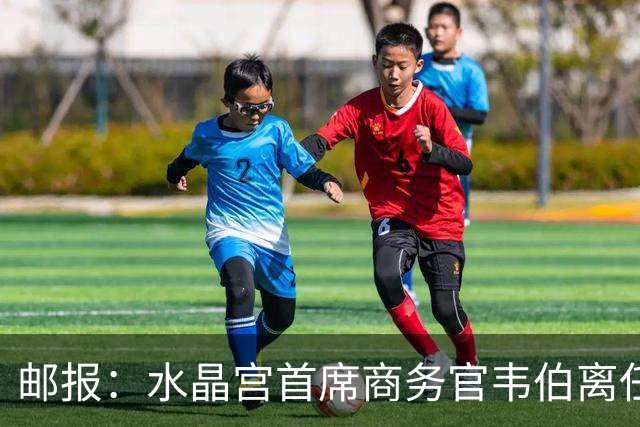 邮报：水晶宫首席商务官韦伯离任，将出任卢顿总经理
